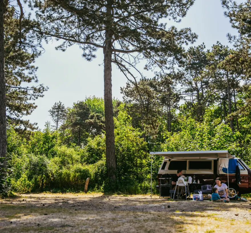 Bosplaatsen kampeerbusje