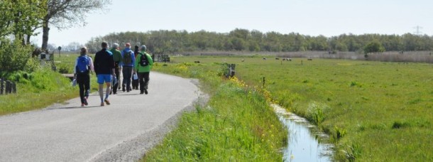 Groene omgeving Oer-IJ-expeditie in Noord Holland